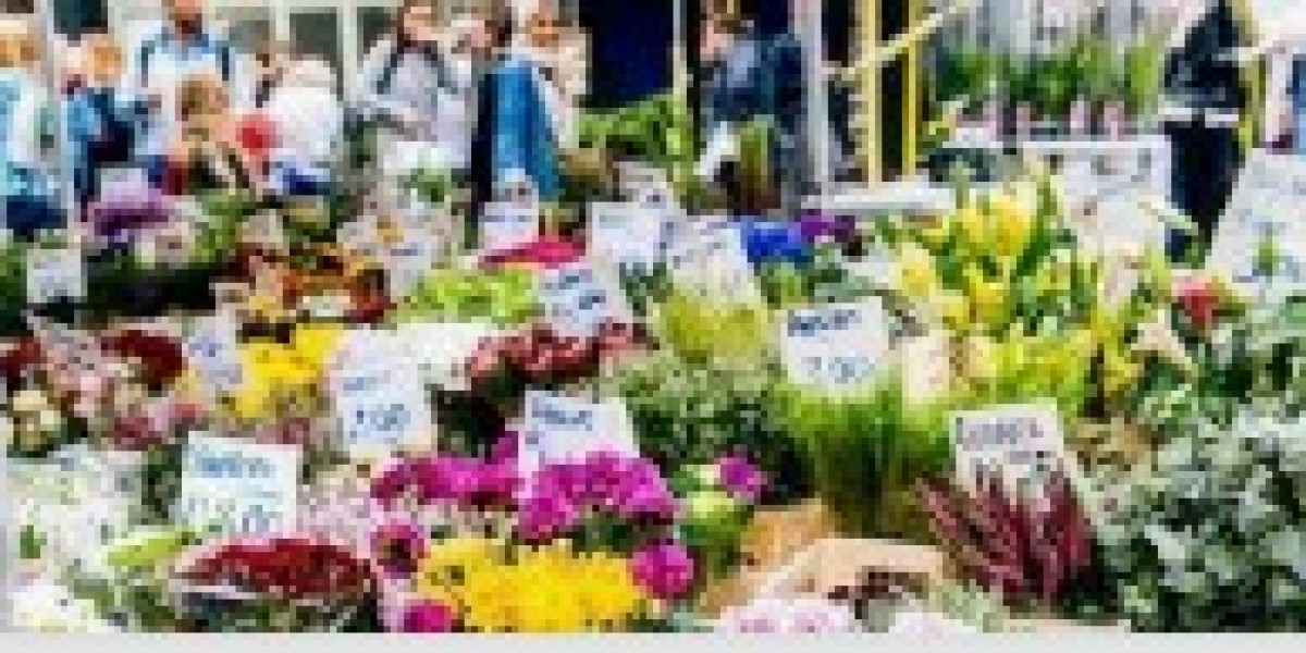 Islamabad Flower Shop: Find Beautiful Flowers for Every Special Occasion